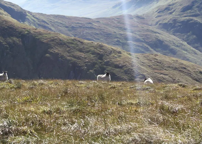 The Connemara - Sleepzone Hostel *
