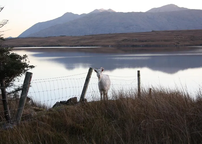The Connemara - Sleepzone Hostel