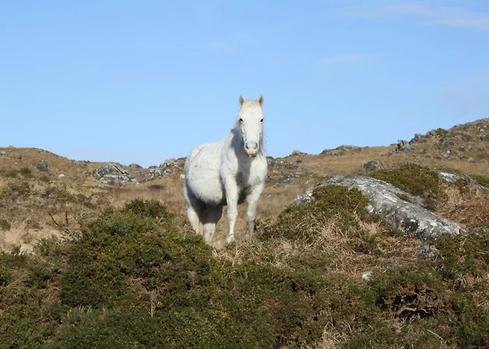 The Connemara - Sleepzone
