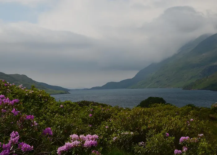 The Connemara - Sleepzone